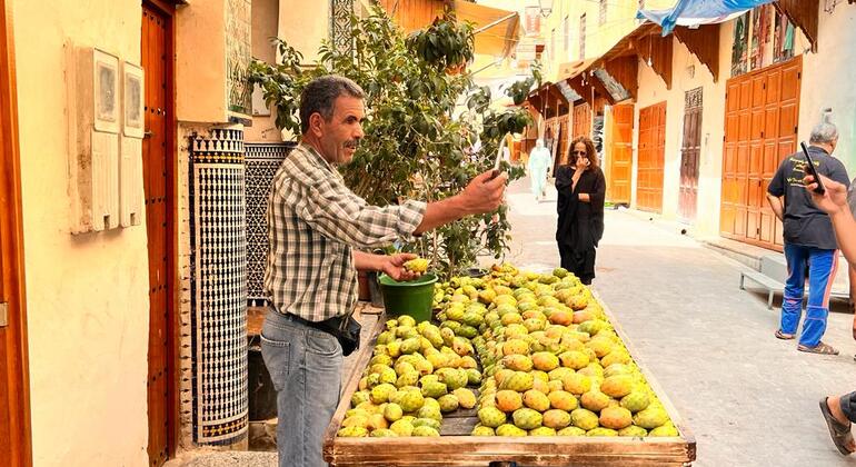 Fez Testing Food Tour: Journey into Moroccan Culture Morocco &mdash; #2