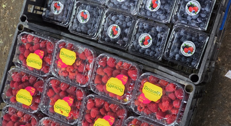 Fez Testing Food Tour: Journey into Moroccan Culture Morocco &mdash; #5