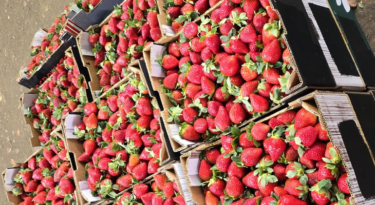 Fez Testing Food Tour: Journey into Moroccan Culture Morocco &mdash; #6