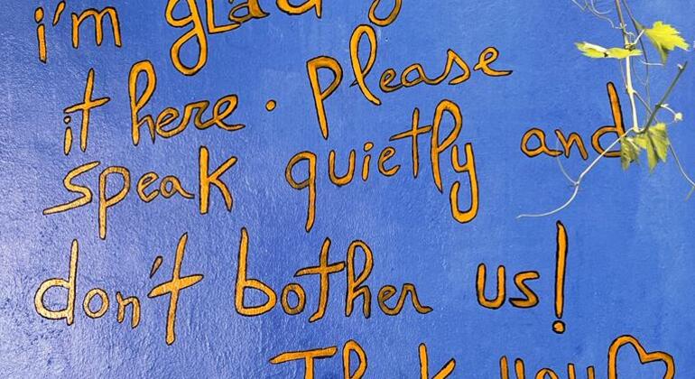 Escapada encantadora: Excursión de un día desde Fez a la Ciudad Azul de Chefchaouen