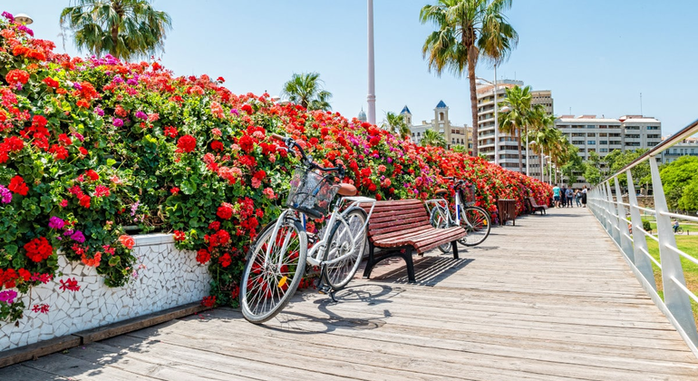 familly-oriented-bike-tour-for-visiting-valencian-parks-lakes-es-2