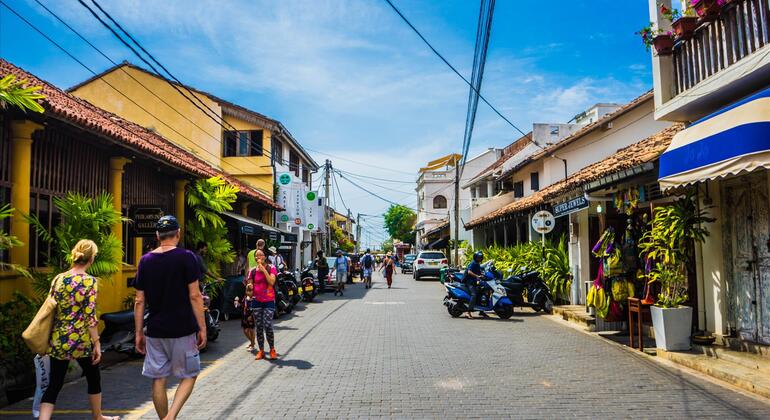 From Colombo to Galle Fort Private Day Tour Sri Lanka — #5