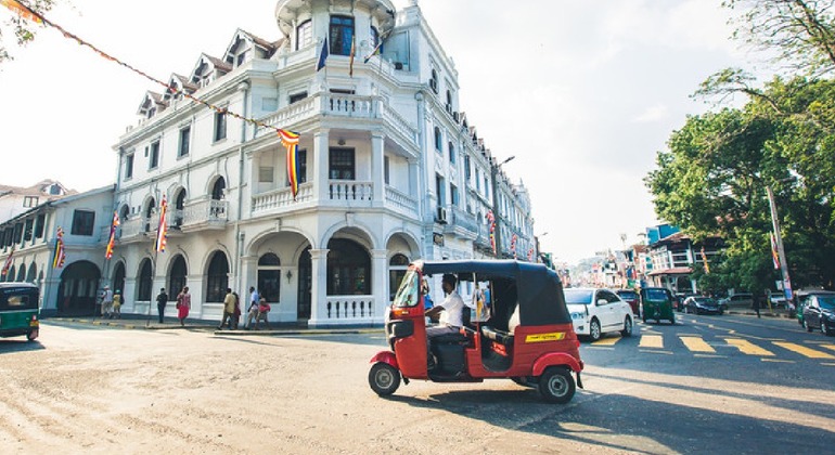 Kandy Stadtrundfahrt mit Einheimischen Sri Lanka — #2