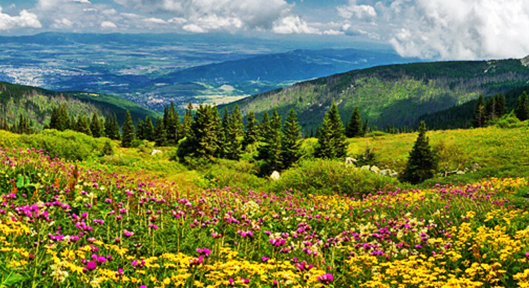 vitosha-group-tour-with-lunch-es-7