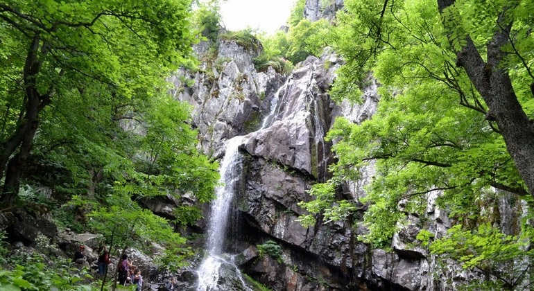 vitosha-group-tour-with-lunch-es-11