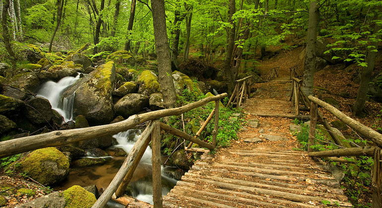 vitosha-group-tour-with-lunch-es-12