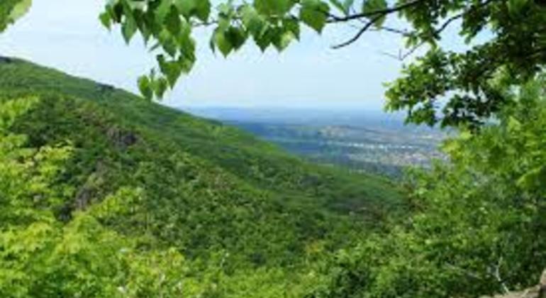 vitosha-group-tour-with-lunch-es-13