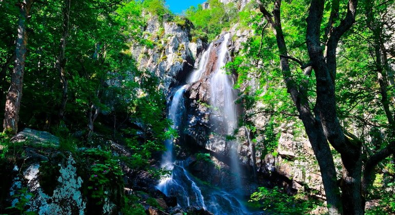 vitosha-group-tour-with-lunch-es-14