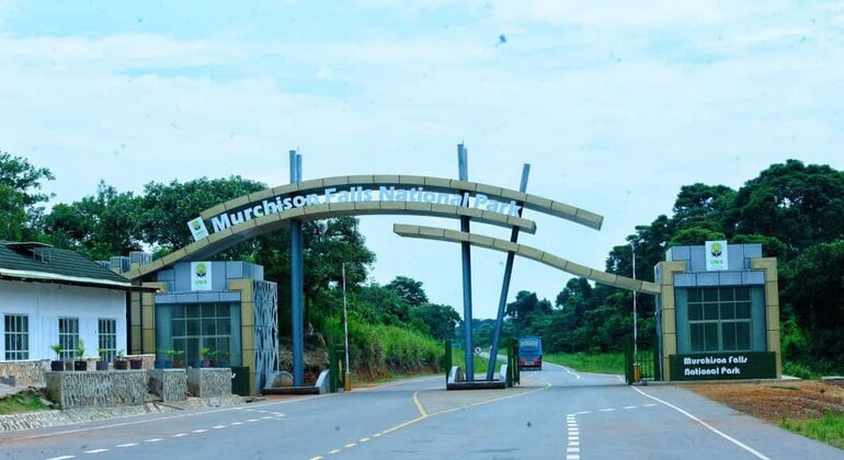 Entebbe Equator and Shoebill Birdwatching Tour 