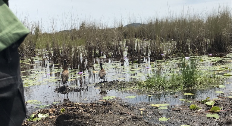entebbe-walking-tour-es-3