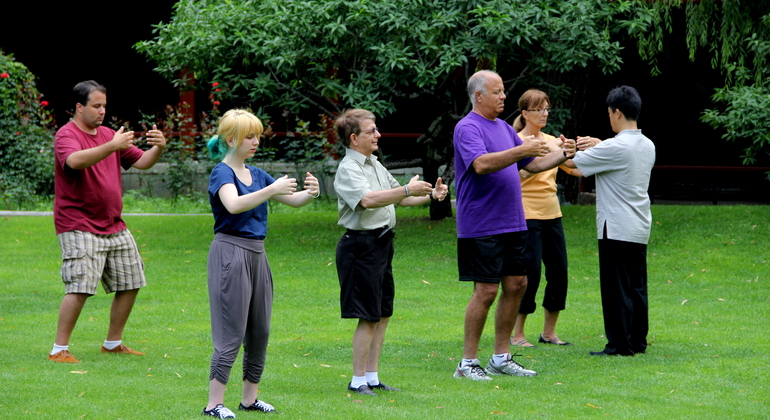 Esperienza di Tai Chi al Tempio del Cielo Cina — #5