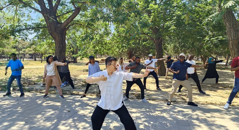 Experiência de Tai Chi e Cerimónia do Chá em Pequim República Popular da China — #7