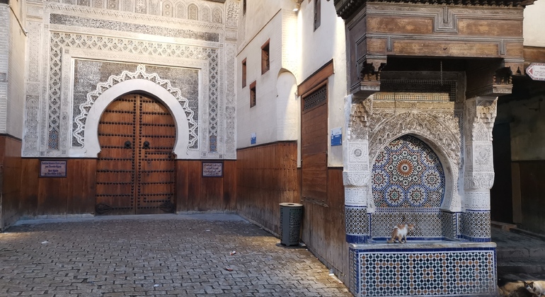 Free Tour in Fes Provided by Mahmoud