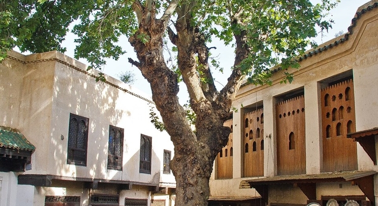 Visite libre de Fès Maroc &mdash; #5