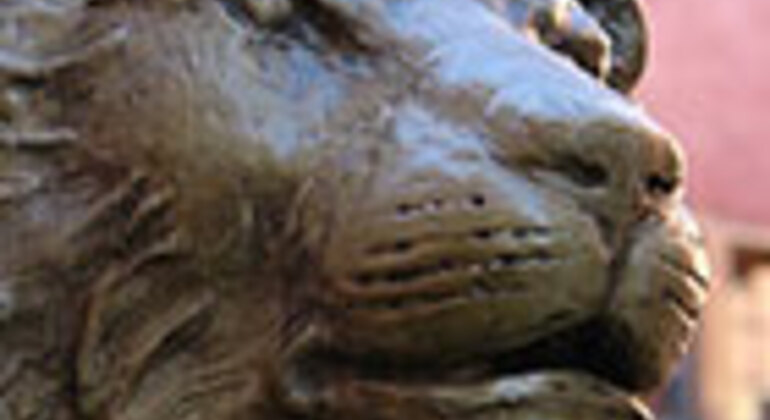 Visita libera dei punti salienti della Vecchia Lione e dei passaggi nascosti Francia — #5