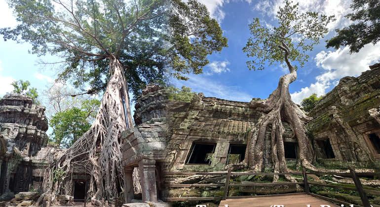 Circuito pequeno em Siem Ramp Camboja — #3