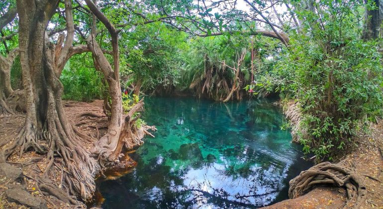 Excursión de un día a las Termas de Kikuletwa