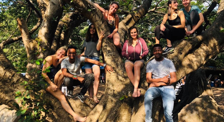 Excursion d'une journée autour de la source thermale de Kikuletwa Tanzanie — #2