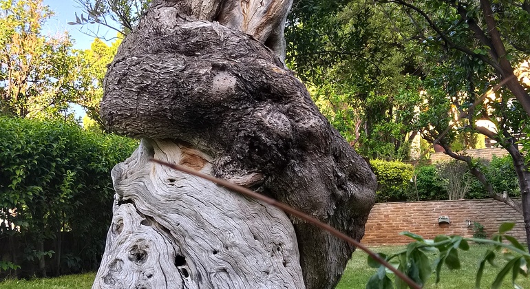 Tour of  Eight Must See Things in Athens Greece — #2