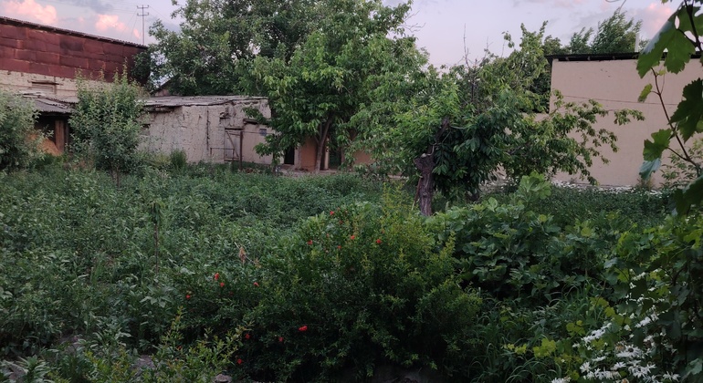 Personal Guide to Samarkand's Enchanting History & Culture Uzbekistan &mdash; #5