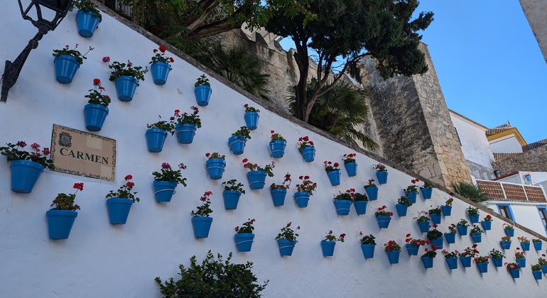 Free Tour of Marbella, Yesterday and Today, Spain