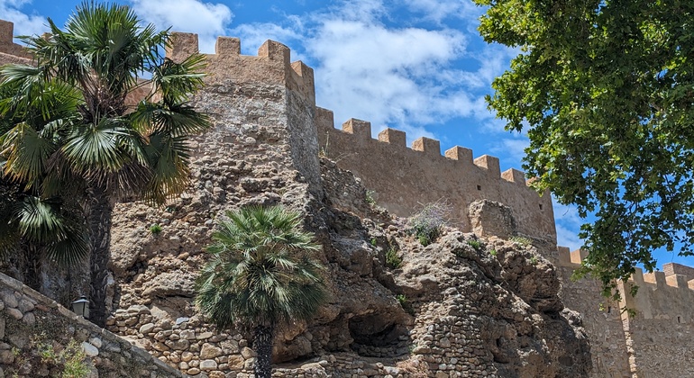 free-tour-por-marbella-ayer-hoy-en-1