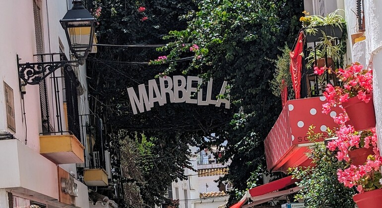 free-tour-por-marbella-ayer-hoy-en-4