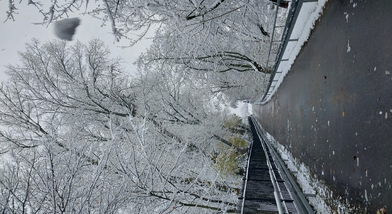 Free Tour por el Centro de Varsovia Polonia &mdash; #8