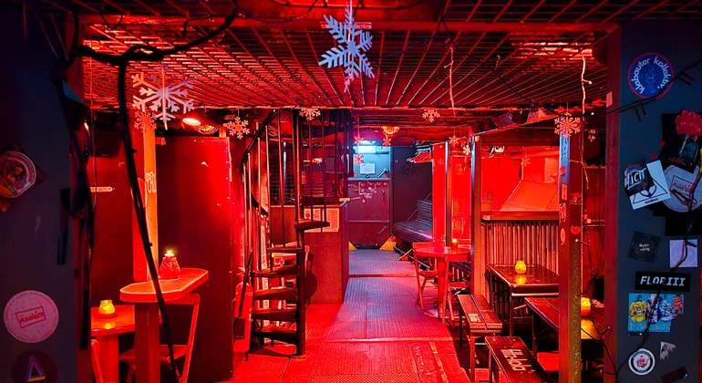 Christmas Special: Night Spray Experience Free Tour Germany — #14