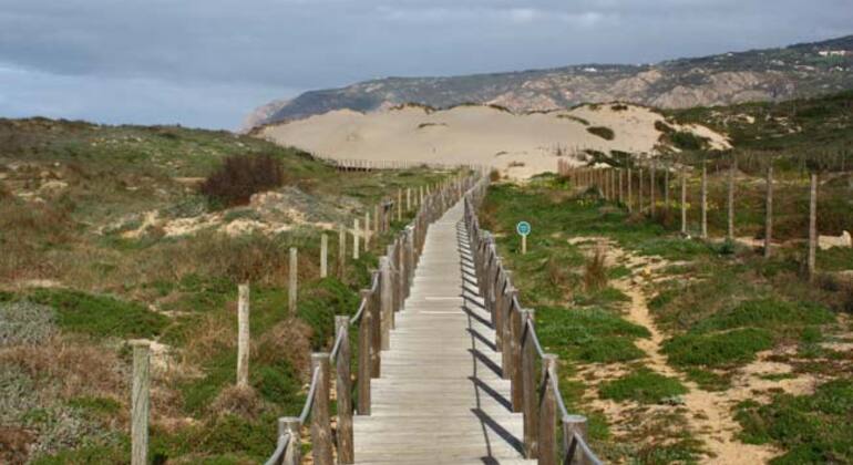 sintra-cabo-da-roca-cascais-full-day-tour-es-3