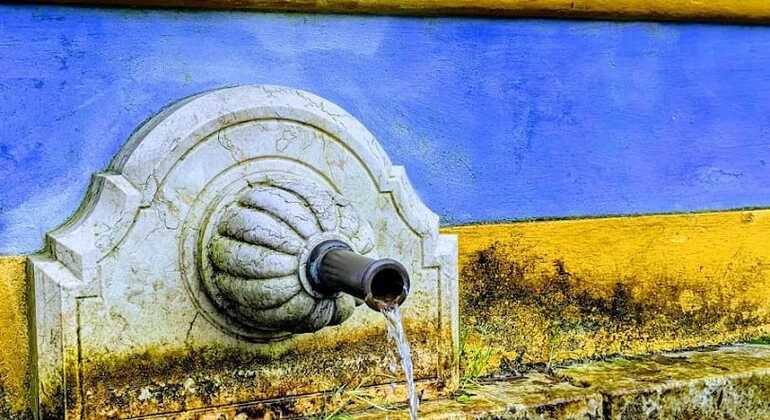 lisbon-wine-tour-through-sesimbra-arrabida-setubal-en-7