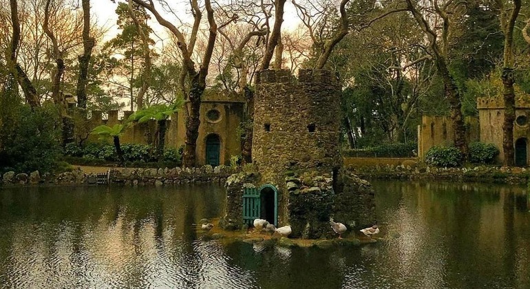 lisbon-wine-tour-through-sesimbra-arrabida-setubal-en-15