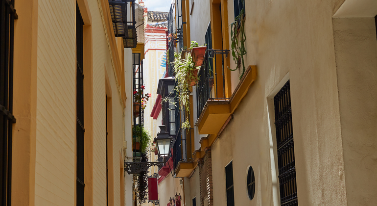 santa-cruz-y-la-juderia-es-3