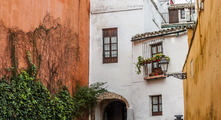 santa-cruz-y-la-juderia-es-4