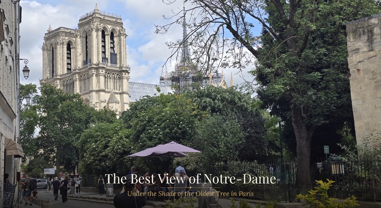 Saint-Germain & Saint-Michel, Historical Center of Paris Free Tour France &mdash; #3