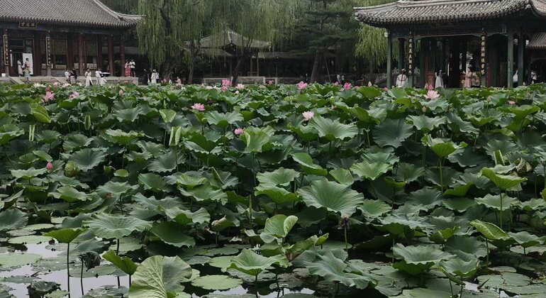 Visite à pied du Palais d'été Chine — #5