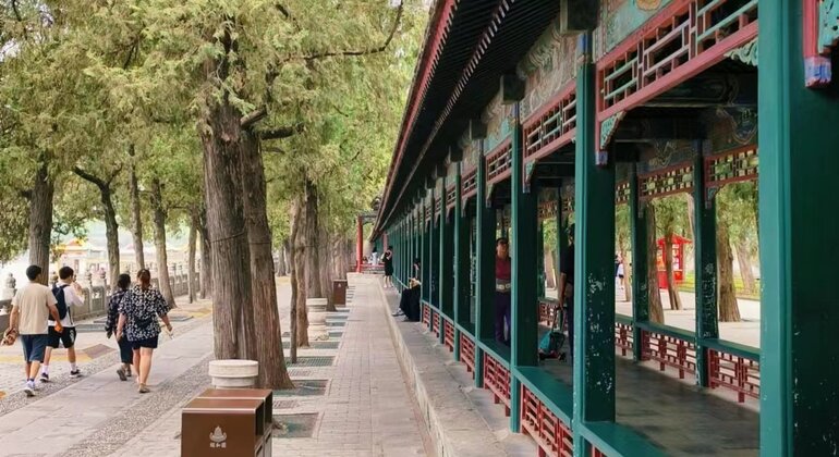 Visite à pied du Palais d'été Chine — #11