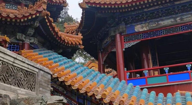 Visite à pied du Palais d'été Chine — #15