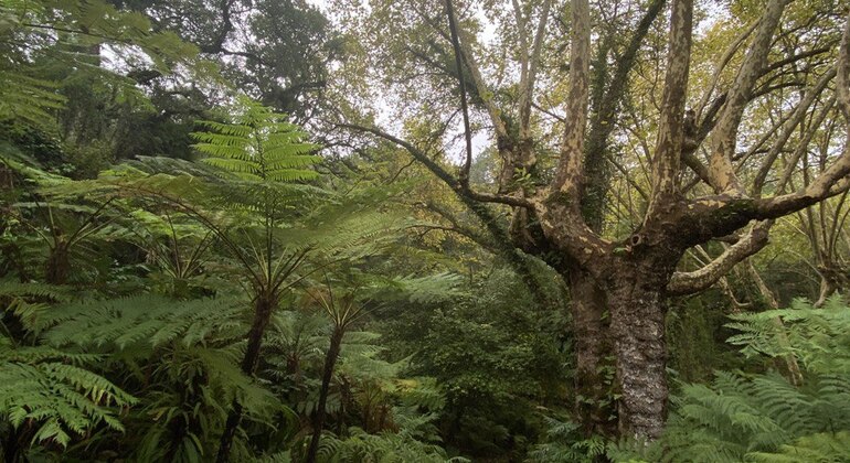 mysterious-sintra-alternative-free-walking-tour-en-2