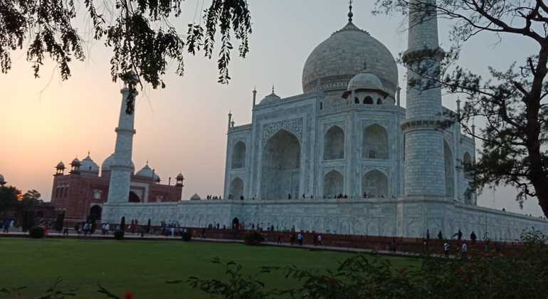 Depuis Delhi : Visite du Taj Mahal et d'Agra par le train le plus rapide d'Inde Fournie par Creative India Journey