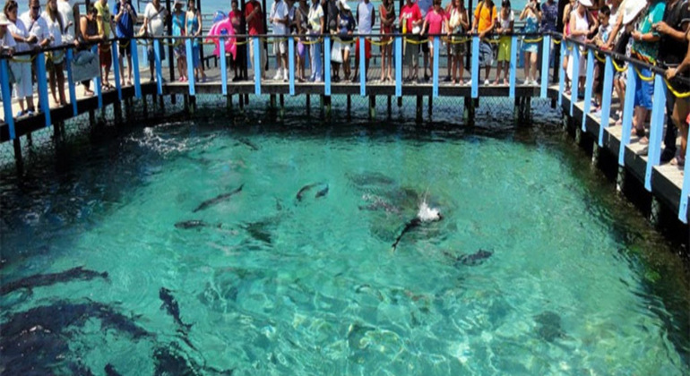 Tour a las Islas Del Rosario y Playa Blanca Colombia — #10