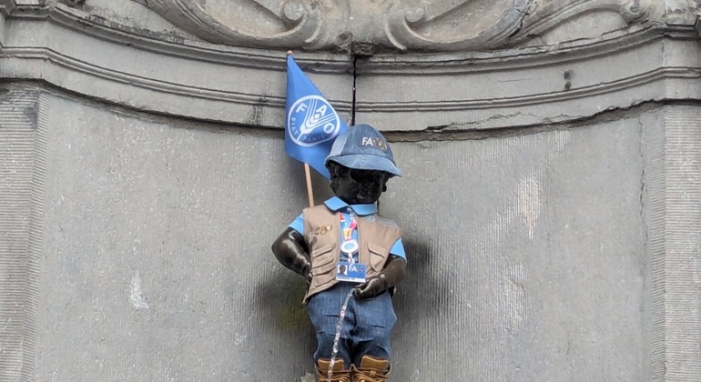 Free Tour: The Heart of Brussels Belgium &mdash; #8