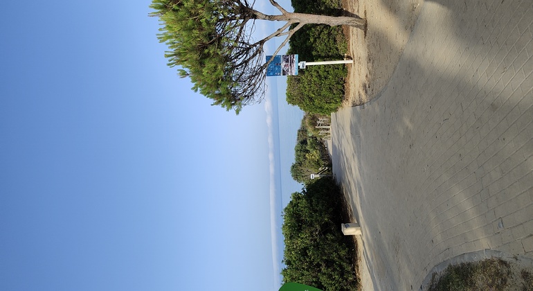 Free Tour Chiclana Coast Spain — #6