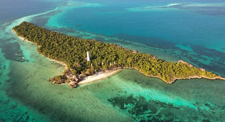 Erkunden Sie Selous auf einem Tagesausflug von Sansibar aus  Tansania — #2
