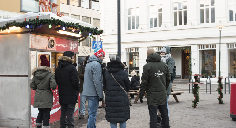 Visita guiada gratuita em Reiquiavique Islândia — #10
