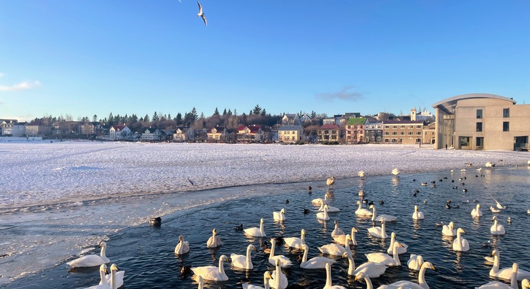 Visita guiada gratuita em Reiquiavique Islândia — #12