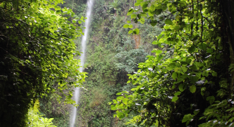 Wasserfall Wandertour, Tanzania