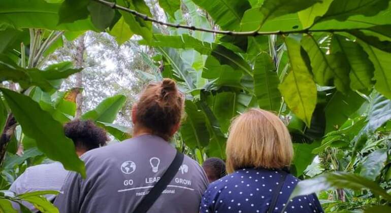 Erleben Sie eine Kaffeefarm-Tour Tansania — #3