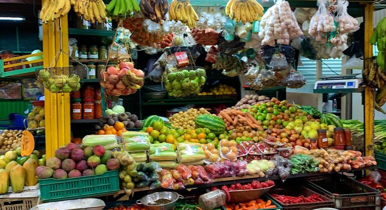 Experiencia Esencial de Frutas