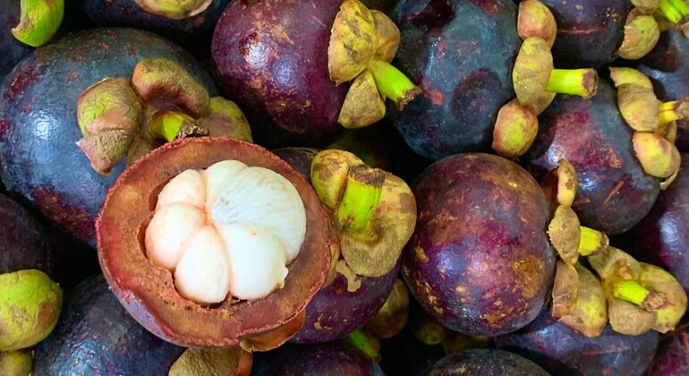 Experiência essencial com frutas Colômbia — #6